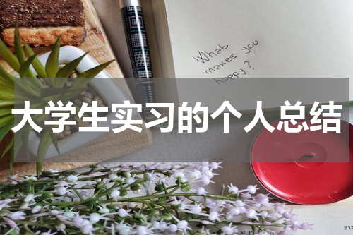 大学生实习的个人总结