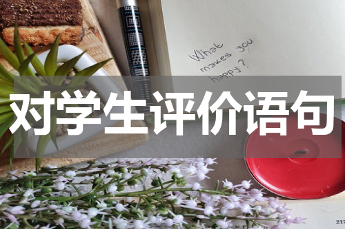 对学生评价语句