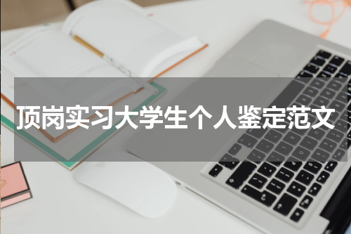 顶岗实习大学生个人鉴定范文