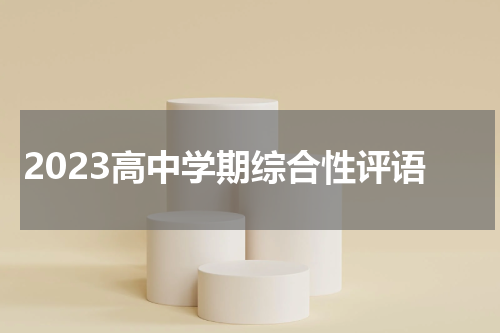 2023高中学期综合性评语