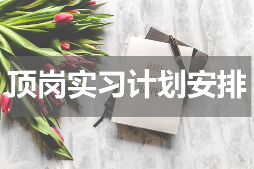 顶岗实习计划安排