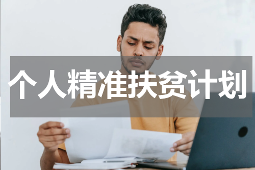 个人精准扶贫计划