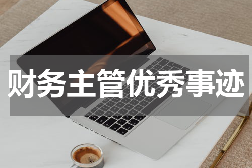 财务主管优秀事迹