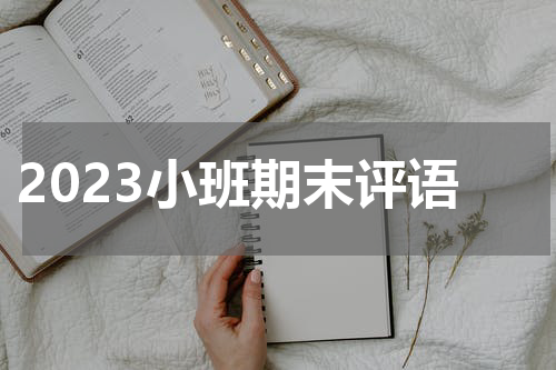 2023小班期末评语