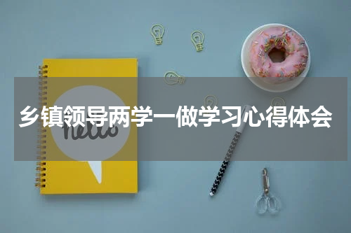 乡镇领导两学一做学习心得体会