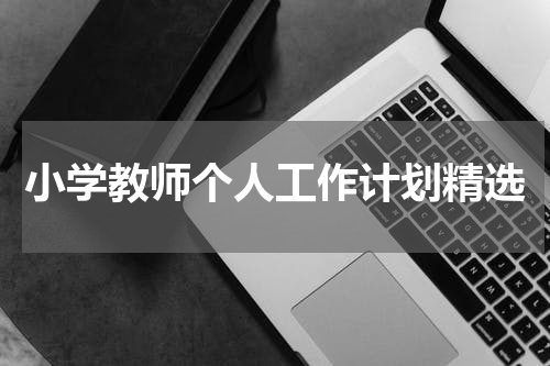 小学教师个人工作计划精选