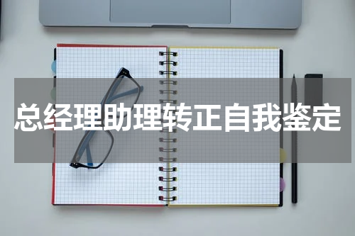 总经理助理转正自我鉴定