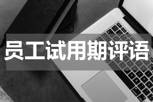员工试用期评语