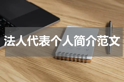 法人代表个人简介范文