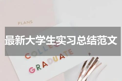 最新大学生实习总结范文
