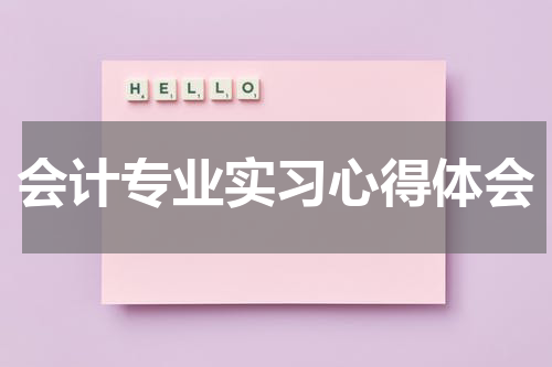 会计专业实习心得体会