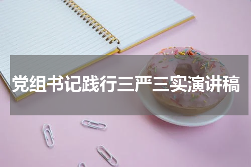 党组书记践行三严三实演讲稿