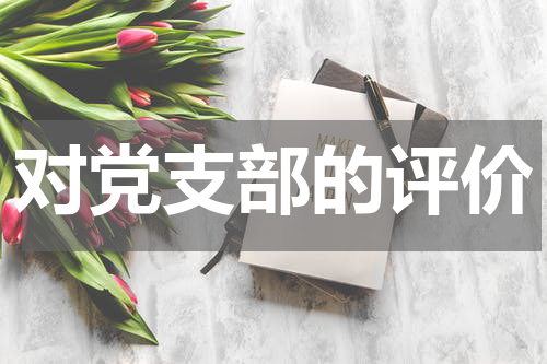 对党支部的评价