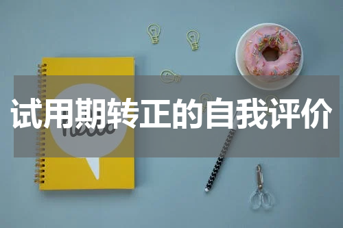 试用期转正的自我评价