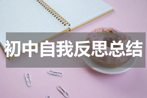 初中自我反思总结