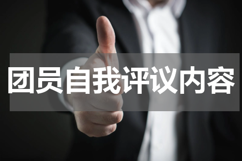 团员自我评议内容