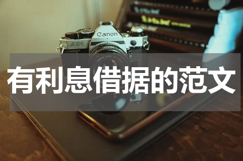 有利息借据的范文