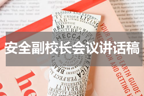 安全副校长会议讲话稿