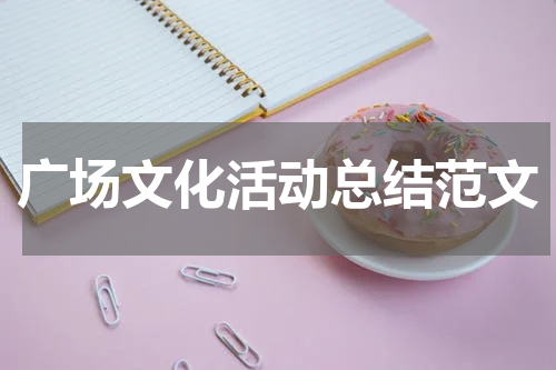 广场文化活动总结范文