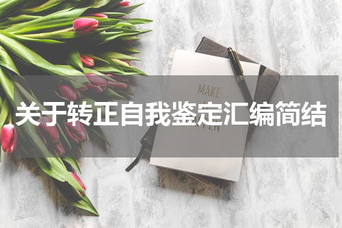 关于转正自我鉴定汇编简结