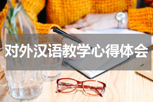 对外汉语教学心得体会