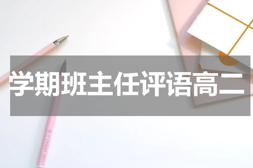 学期班主任评语高二