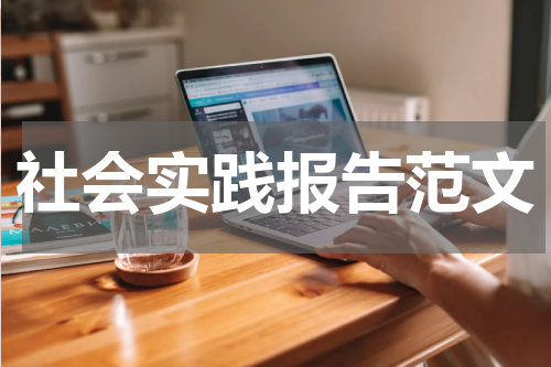 社会实践报告范文