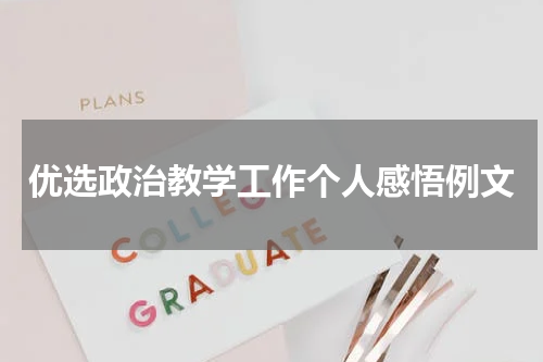 优选政治教学工作个人感悟例文