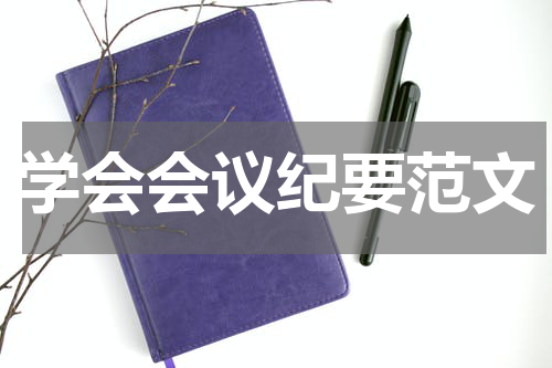 学会会议纪要范文