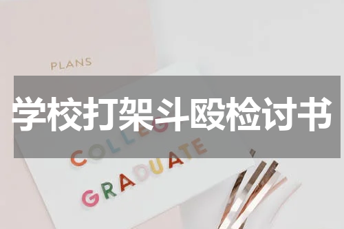 学校打架斗殴检讨书