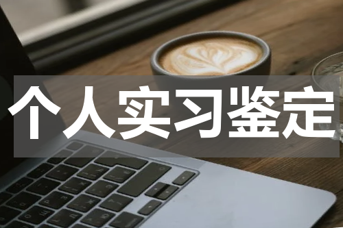 个人实习鉴定