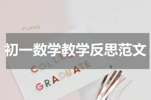 初一数学教学反思范文