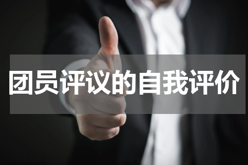 团员评议的自我评价