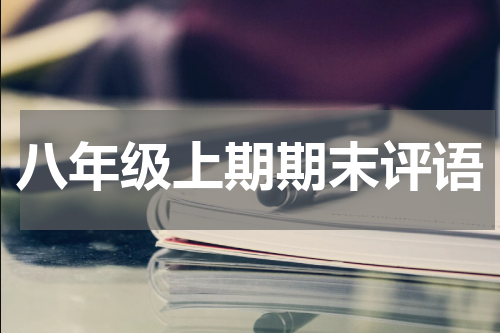 八年级上期期末评语
