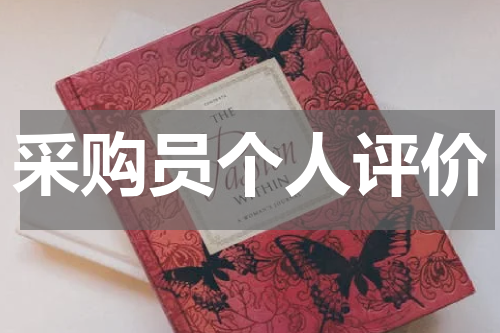 采购员个人评价