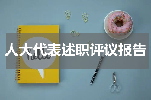 人大代表述职评议报告