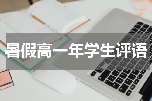 暑假高一年学生评语