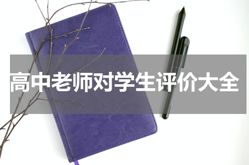 高中老师对学生评价大全