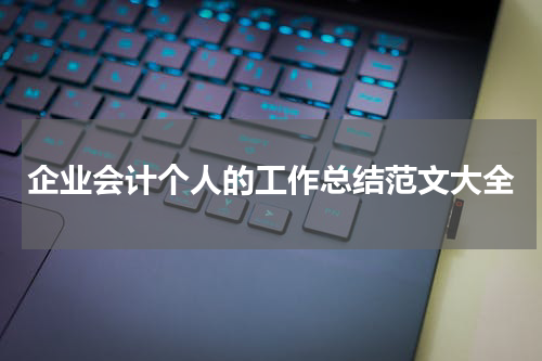 企业会计个人的工作总结范文大全