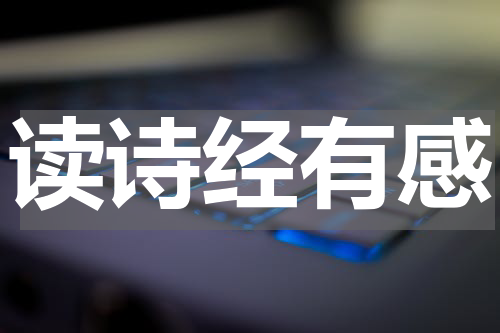 读诗经有感