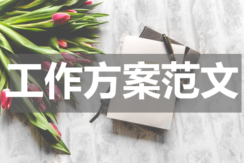 工作方案范文