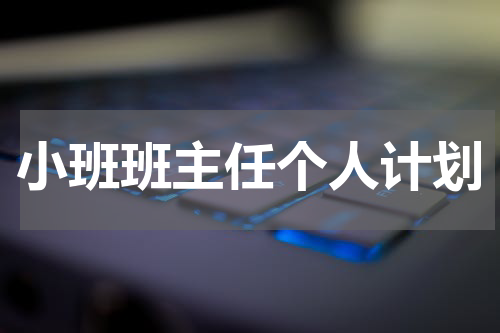 小班班主任个人计划