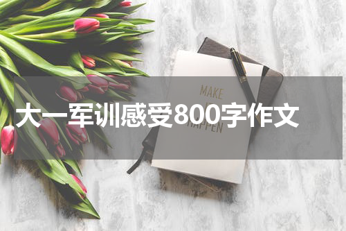 大一军训感受800字作文
