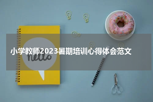 小学教师2023暑期培训心得体会范文