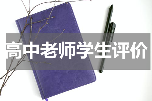 高中老师学生评价