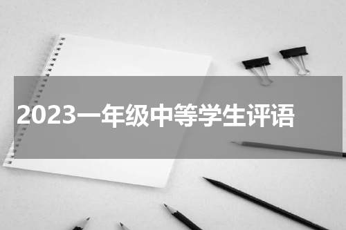 2023一年级中等学生评语