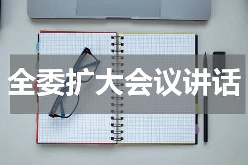 全委扩大会议讲话