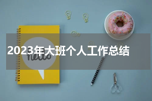 2023年大班个人工作总结