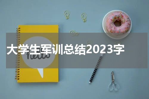 大学生军训总结2023字