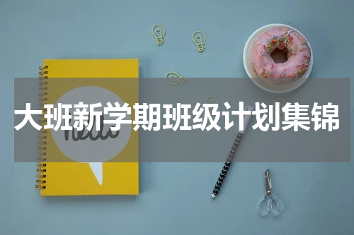 大班新学期班级计划集锦